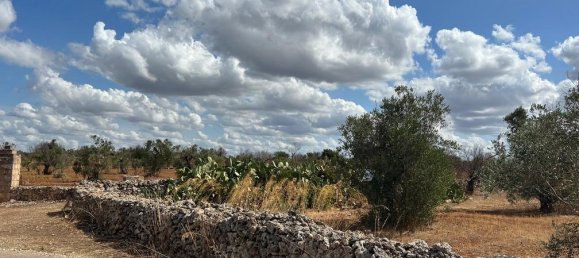 Terreno em Gallipoli, Italy 8700 m² N.º 236942 7