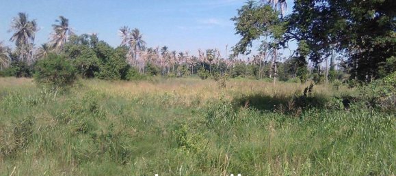  Land in Prachuap Khiri Khan, Thailand No. 26459 4