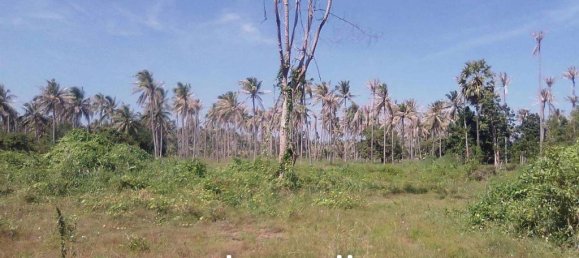  Land in Prachuap Khiri Khan, Thailand No. 26459 5