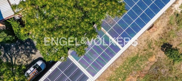 5 rooms Office in Rome, Italy No. 306274 17