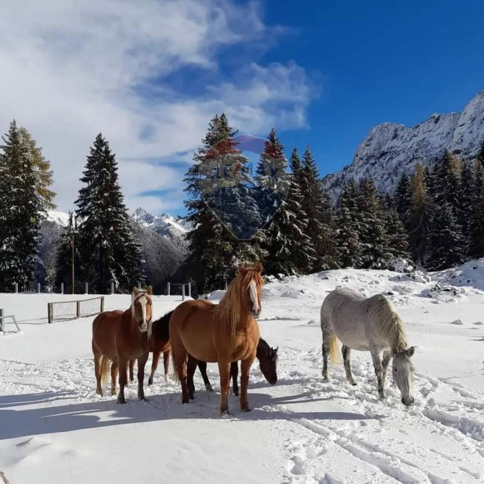 3غرفة شقة في Valleve, Italy رقم 129855