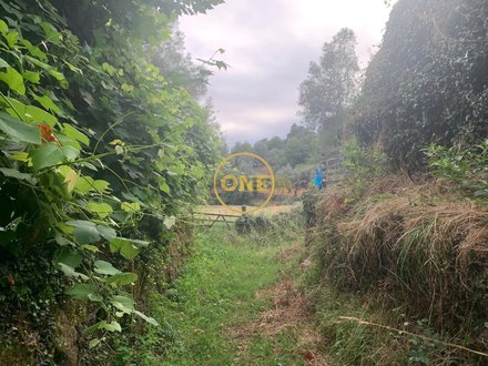 350m² Land in Vieira do Minho, Portugal No. 33497