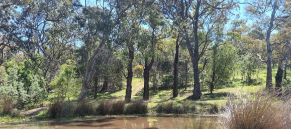 Ферма с 2 спальнями в Orielton, Австралия № 939 8