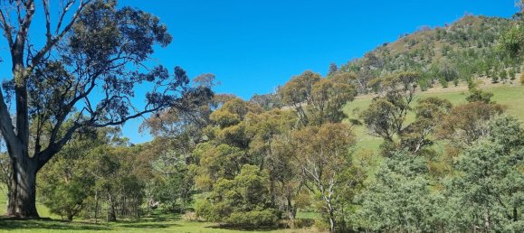 Ферма с 2 спальнями в Orielton, Австралия № 939 7