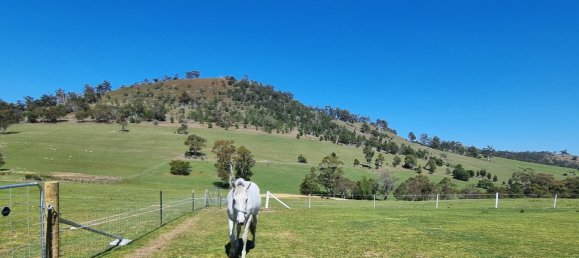 Ферма с 2 спальнями в Orielton, Австралия № 939 5