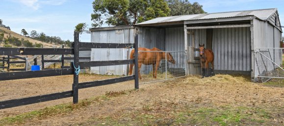 Ферма с 2 спальнями в Orielton, Австралия № 939 25