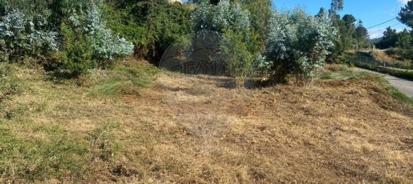 1 غرف نوم منزل في Soalhaes, Portugal رقم 19078 8