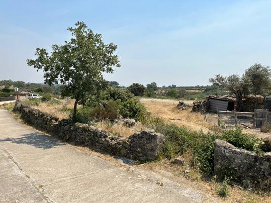  قطعة أرض في Caceres, Spain 1978متر مربع رقم 197870