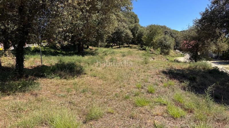  قطعة أرض في Sant Pere de Vilamajor, Spain 4249متر مربع رقم 233149