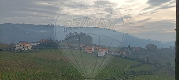 Casa de 3 dormitorios en Peso da Regua, Portugal No. 166089 2