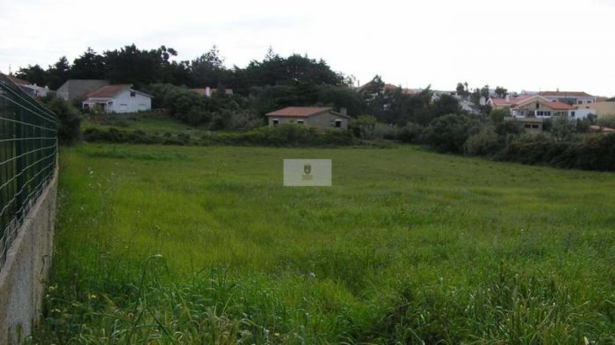5378m² Land in Sintra, Portugal No. 8707