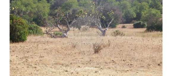 54880m² Land in Silves, Portugal No. 38980 2