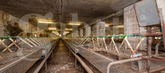 Almacén de 5 habitaciónes en Padua, Italy No. 289031 4