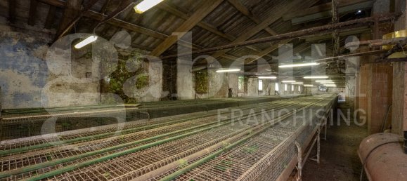 Almacén de 5 habitaciónes en Padua, Italy No. 289031 5