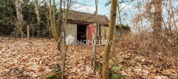 Terreno en Leipzig, Germany No. 143176 5