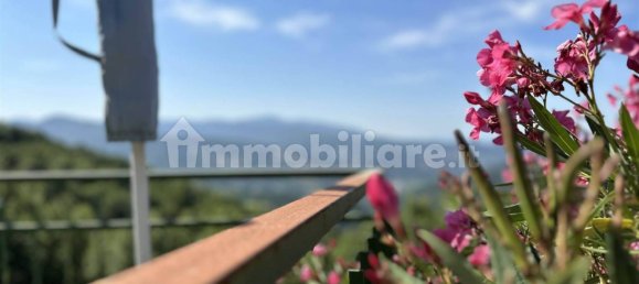 3 غرف نوم فيلا في Pontassieve, Italy رقم 48913 5