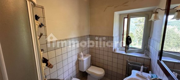 3 غرف نوم فيلا في Pontassieve, Italy رقم 48913 33