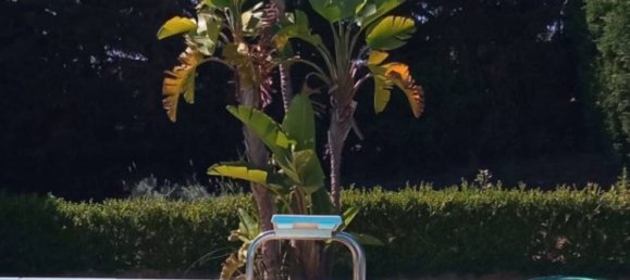 2 Schlafzimmer Villa in Castellammare del Golfo, Italy, Nr. 225788 47