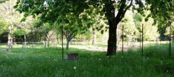 20 rooms House in Urbe, Italy No. 84838 15