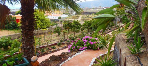 4 bedrooms House in Arafo, Spain No. 40494 2