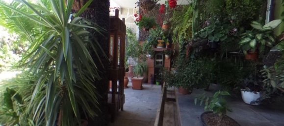 4 bedrooms House in Arafo, Spain No. 40494 4