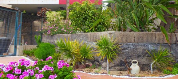 4 bedrooms House in Arafo, Spain No. 40494 13