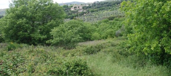 Grundstück in Passignano sul Trasimeno, Italy 11303m², Nr. 155494 4