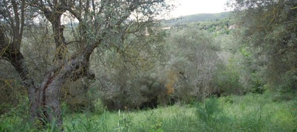 Grundstück in Passignano sul Trasimeno, Italy 11303m², Nr. 155494 3