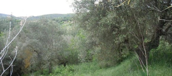 Grundstück in Passignano sul Trasimeno, Italy 11303m², Nr. 155494 2