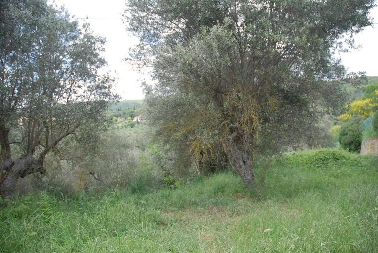 Grundstück in Passignano sul Trasimeno, Italy 11303m², Nr. 155494