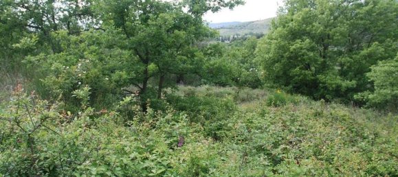 Grundstück in Passignano sul Trasimeno, Italy 11303m², Nr. 155494 5