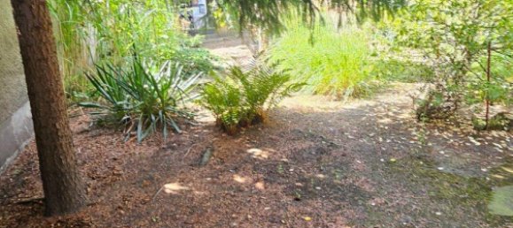 16غرفة بناية في Harz, Germany رقم 221459 14