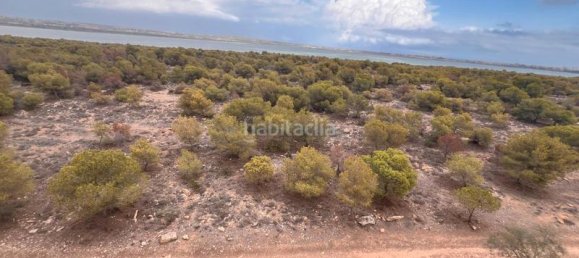 3 bedrooms Apartment in Torrevieja, Spain No. 103035 18