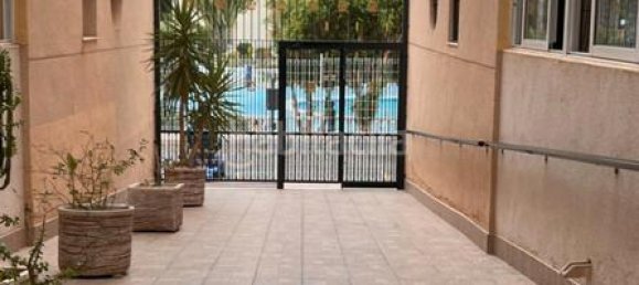 3 bedrooms Apartment in Torrevieja, Spain No. 103035 17