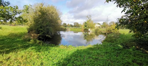 5 bedrooms House in Chateau-la-Valliere, France No. 89360 4