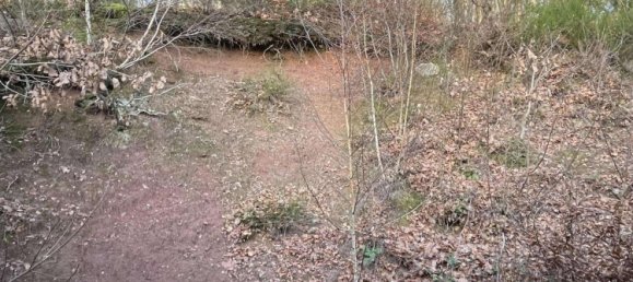 Таунхаус с 6 комнатами в Санкт-Вендель, Германия № 28659 15