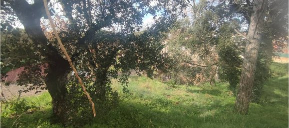 Terrain à Caldes de Malavella, Spain 837m² No. 21928 8