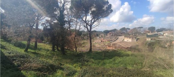 Terrain à Caldes de Malavella, Spain 837m² No. 21928 5