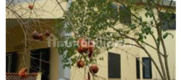 Apartamento de 2 dormitorios en Corigliano Rossano, Italy No. 262024 5