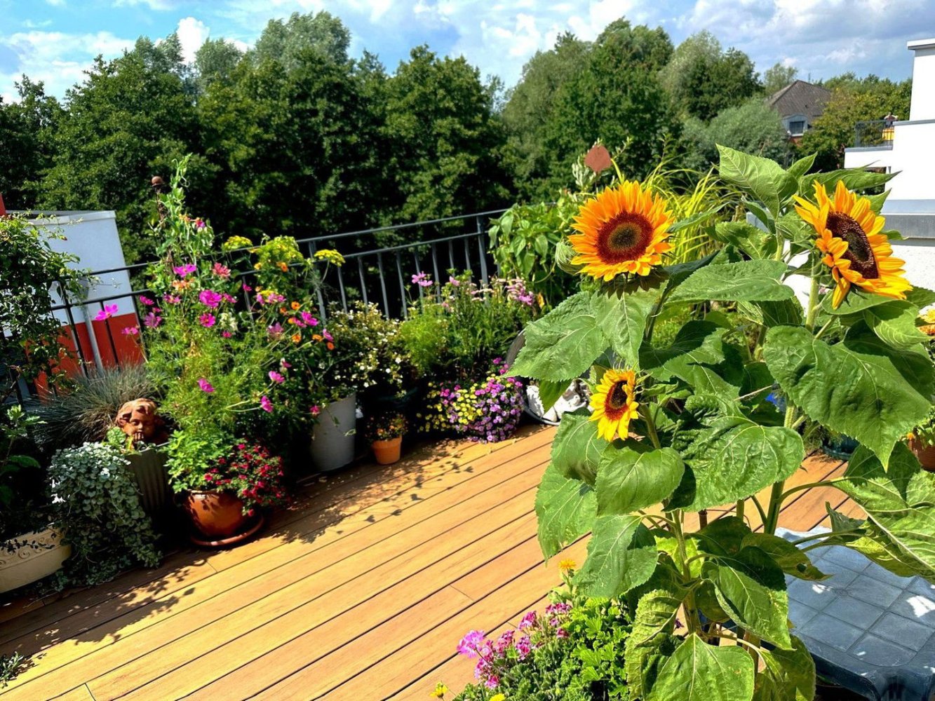 3-Zimmer Penthouse in Schwerin, Germany, Nr. 285555