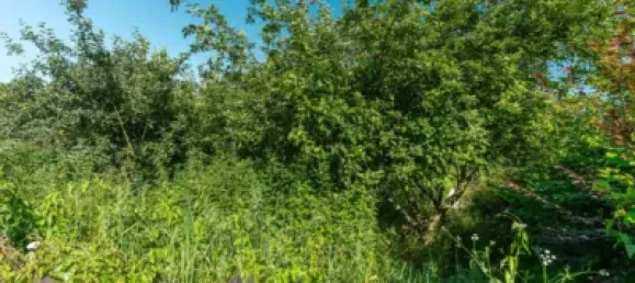 Casa de 4 dormitorios en Langreo, Spain No. 167883 37