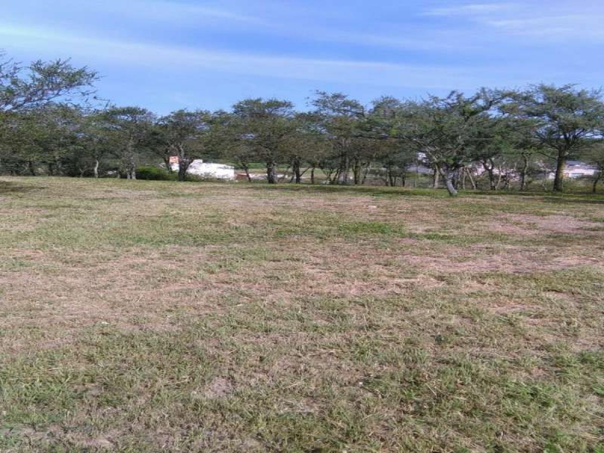  Land in Cordoba, Argentina No. 44140