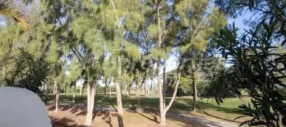 4 bedrooms Villa in Arona, Spain No. 188538 4