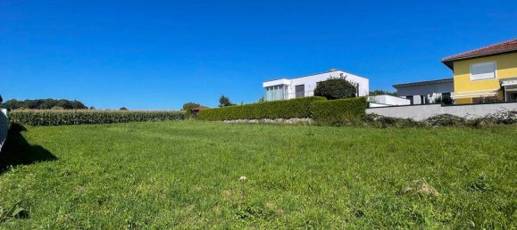  Land in Wilhering, Austria No. 97392 6