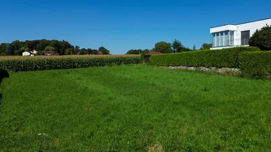  Land in Wilhering, Austria No. 97392