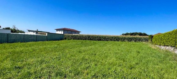  Land in Wilhering, Austria No. 97392 4