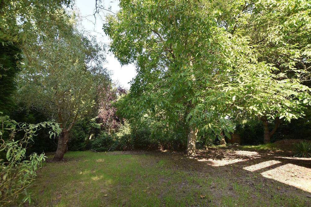  Land in Potsdam-Mittelmark, Germany No. 353270