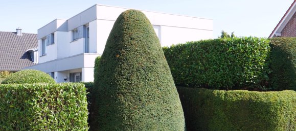 6-Zimmer Haus in Cloppenburg, Germany, Nr. 278725 2