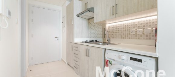 Studio in Palm Jumeirah, UAE No. 31502 16