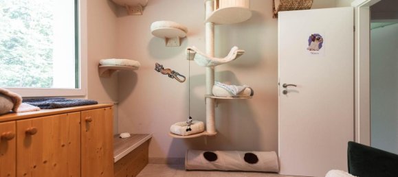 4 rooms House in Sieghartskirchen, Austria No. 148994 11